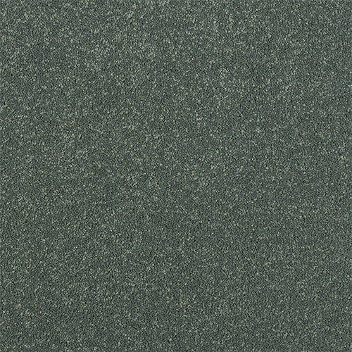 StainFree - Maximus - (2.5m Width Roll)