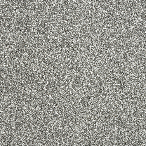StainFree - Maximus - (2.5m Width Roll)