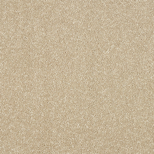 StainFree - Maximus - (2.5m Width Roll)