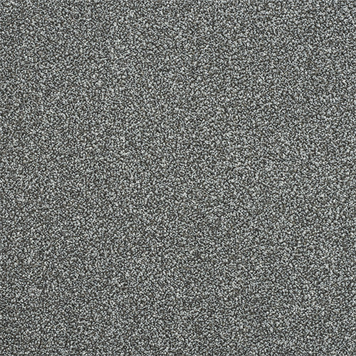 StainFree - Maximus - (2.5m Width Roll)