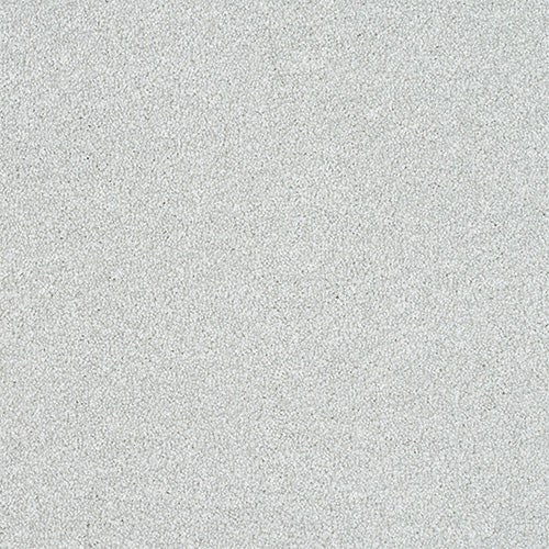 StainFree - Maximus - (2.5m Width Roll)