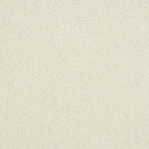 StainFree - Maximus - (2.5m Width Roll)