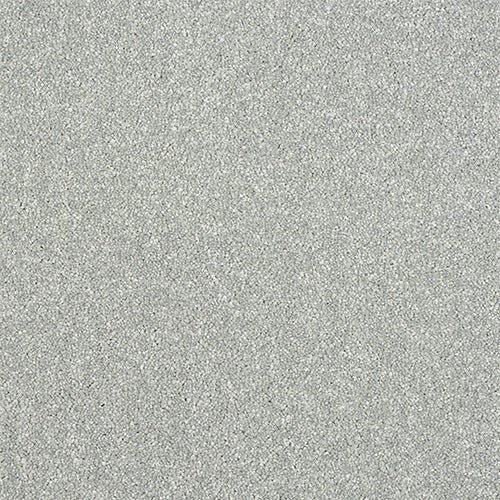 StainFree - Maximus - (2.5m Width Roll)