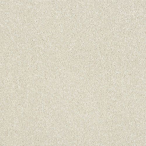 StainFree - Maximus - (2.5m Width Roll)