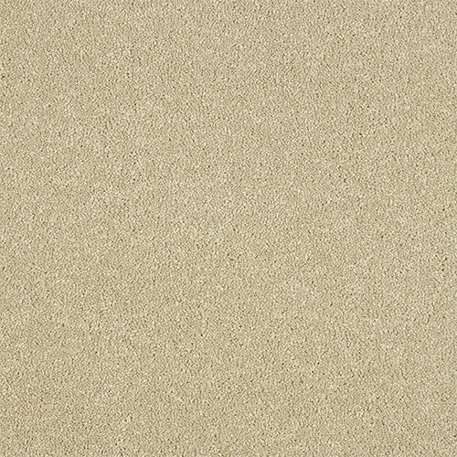 StainFree - Maximus - (2.5m Width Roll)