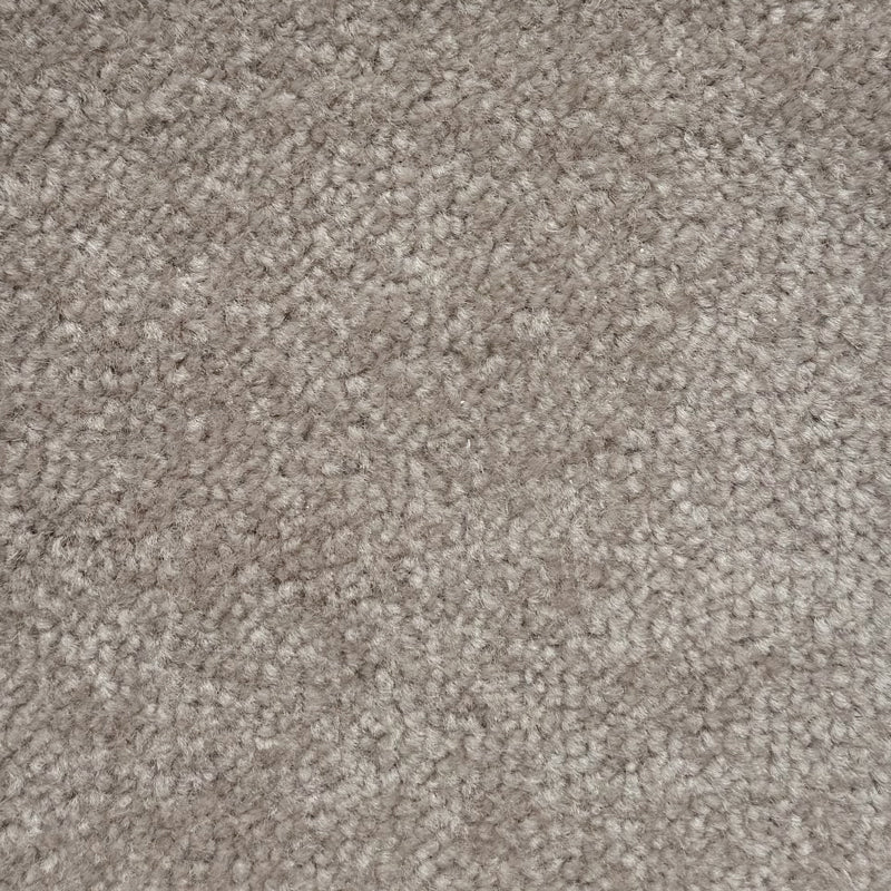 Every Room - Velocity Twist - (4m Width Roll)