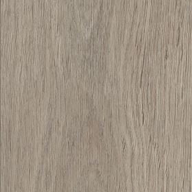 Invictus - Maximus Click Plank (16 Designs/Colours)
