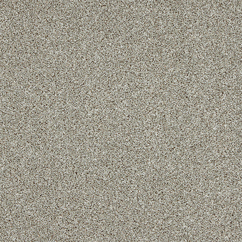 StainFree - Knightsbridge Berber - (4m Width Roll)