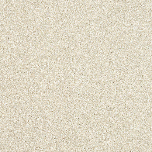 StainFree - Maximus - (2.5m Width Roll)
