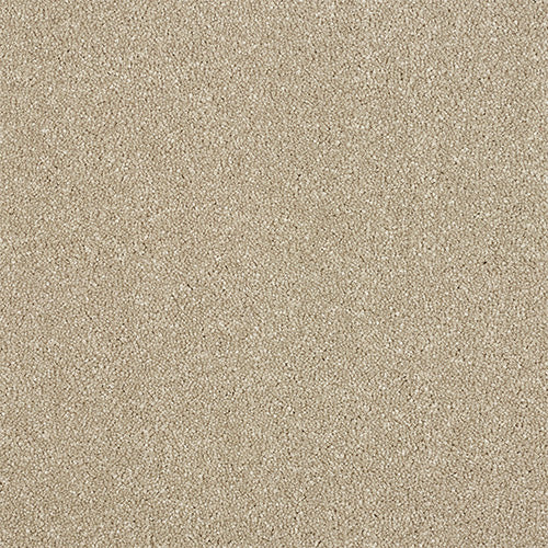 StainFree - Maximus - (2.5m Width Roll)