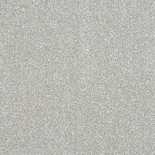 StainFree - Maximus - (2.5m Width Roll)