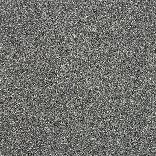 StainFree - Maximus - (2.5m Width Roll)