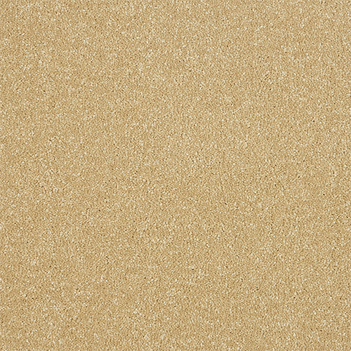 StainFree - Maximus - (2.5m Width Roll)