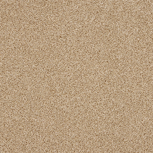 StainFree - Knightsbridge Berber - (4m Width Roll)