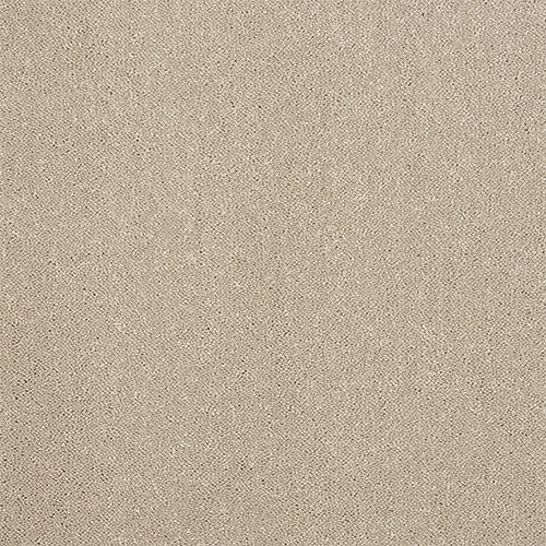 Stainfree - Captivation - (4m Width Roll)