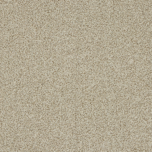 StainFree - Knightsbridge Berber - (4m Width Roll)