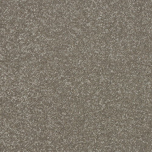 StainFree - Maximus - (2.5m Width Roll)