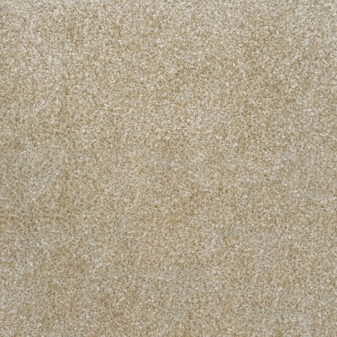 Finshing Touch - StainSafe Ultra Saxony - (4m Width Roll)